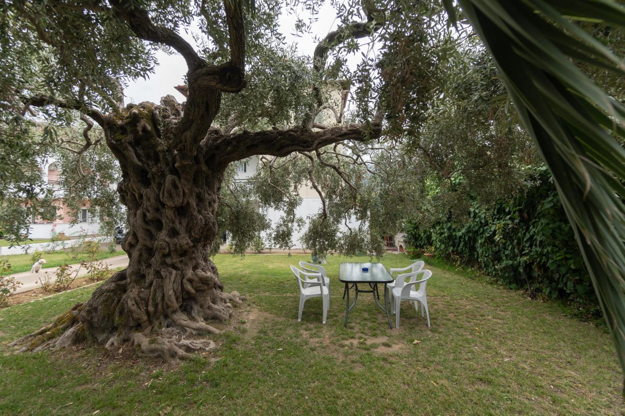 Studios Anais - Thasos Exterior photo